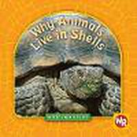 Cover image for Why Animals Live in Shells