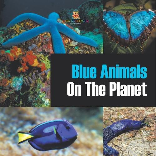 Cover image for Blue Animals On The Planet