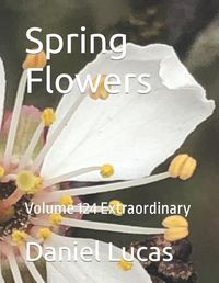 Cover image for Spring Flowers