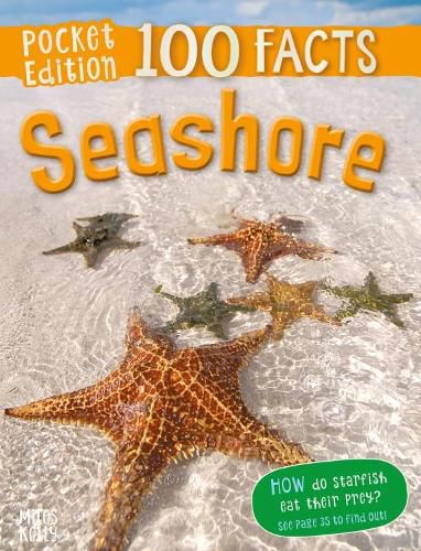 Cover image for 100 Facts Seashore Pocket Edition