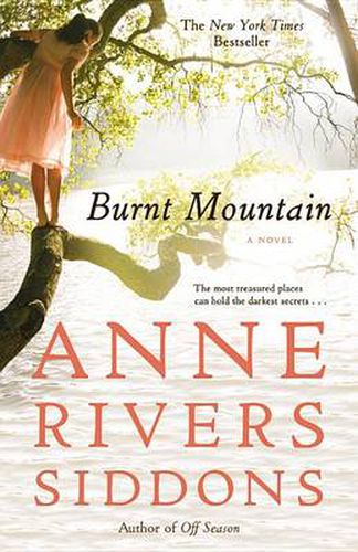 Cover image for Burnt Mountain