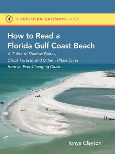 Cover image for How to Read a Florida Gulf Beach: A Guide to Shadow Dunes, Ghost Forests and Other Telltale Clues from an Ever-Changing Coast