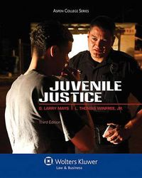 Cover image for Juvenile Justice