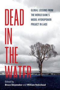 Cover image for Dead in the Water: Global Lessons from the World Bank's Model Hydropower Project in Laos