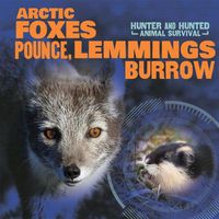 Cover image for Arctic Foxes Pounce, Lemmings Burrow