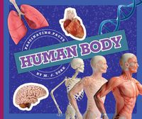 Cover image for Human Body