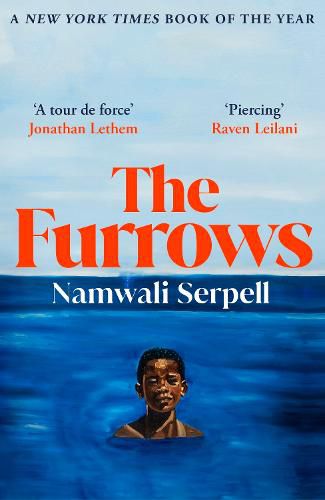 Cover image for The Furrows