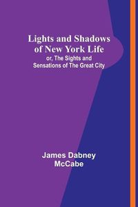 Cover image for Lights and Shadows of New York Life