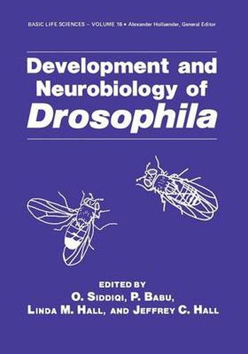 Cover image for Development and Neurobiology of Drosophila