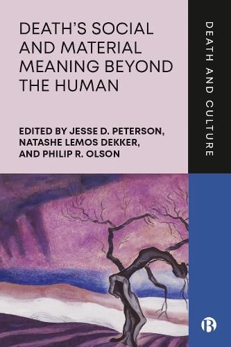 Death's Social and Material Meaning beyond the Human