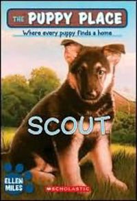 Cover image for The Puppy Place #7: Scout