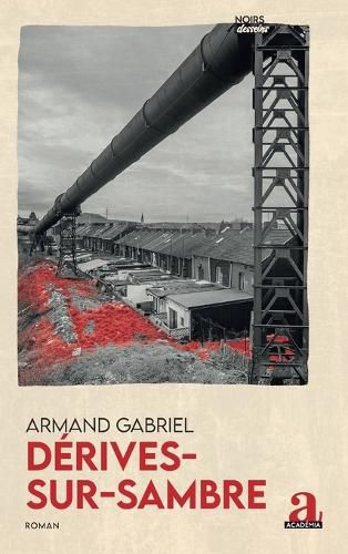 Cover image for Derives-sur-Sambre