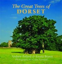 Cover image for The Great Trees of Dorset