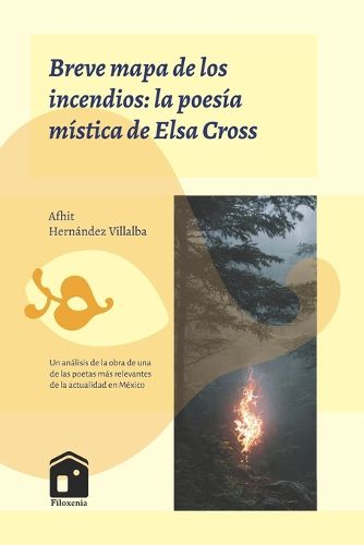 Cover image for Breve mapa de los incendios
