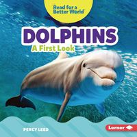 Cover image for Dolphins: A First Look