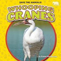 Cover image for Whooping Cranes