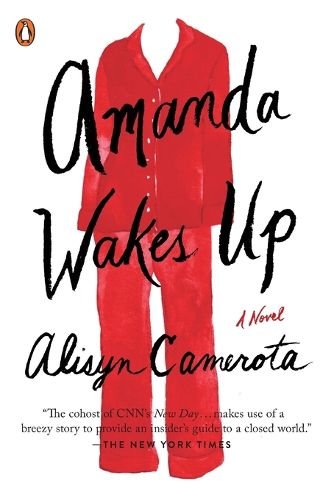 Cover image for Amanda Wakes Up: A Novel