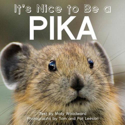 Cover image for It's Nice to Be a Pika