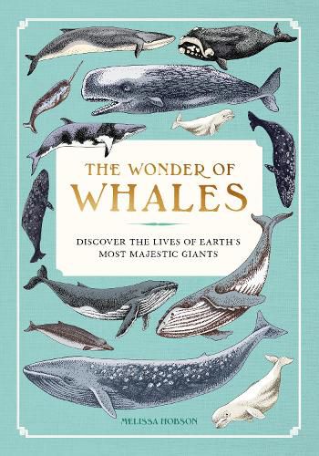 Cover image for The Wonder of Whales