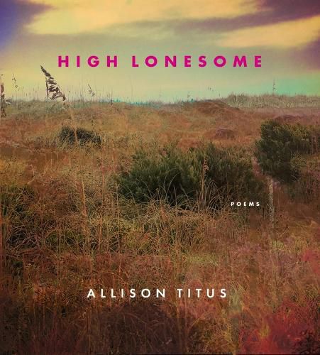 Cover image for High Lonesome