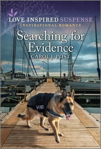 Cover image for Searching for Evidence