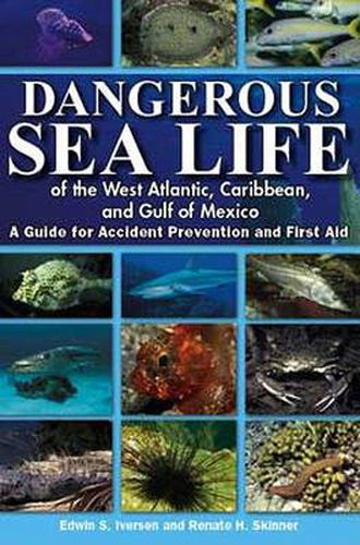 Cover image for Dangerous Sea Life of the West Atlantic, Caribbean, and Gulf of Mexico: A Guide for Accident Prevention and First Aid