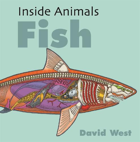 Cover image for Inside Animals: Fish