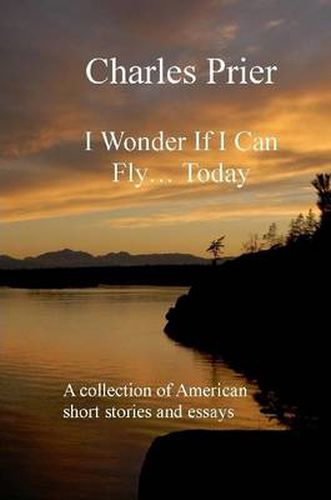 Cover image for I Wonder If I Can Fly... Today