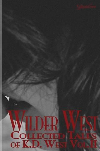 Cover image for Wilder West