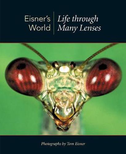 Cover image for Eisner's World: Life through Many Lenses