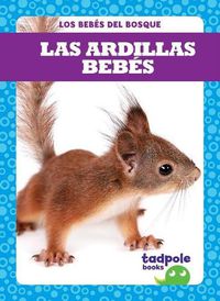 Cover image for Las Ardillas Bebes (Squirrel Kits)