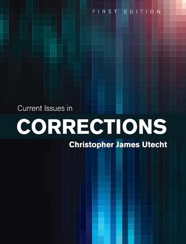 Cover image for Current Issues in Corrections
