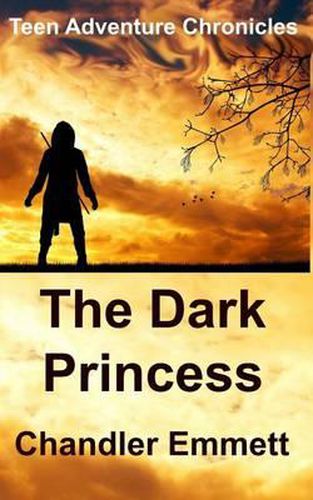 Cover image for The Dark Princess