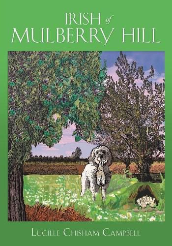 Cover image for Irish of Mulberry Hill