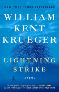 Cover image for Lightning Strike: A Novel