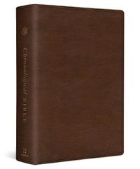 Cover image for ESV Chronological Bible