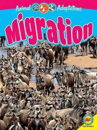 Cover image for Migration