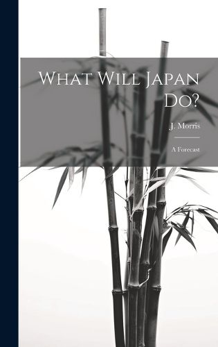 Cover image for What Will Japan Do?