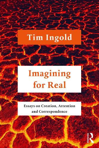 Cover image for Imagining for Real: Essays on Creation, Attention and Correspondence