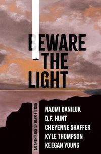 Cover image for Beware the Light