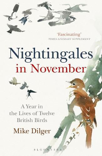 Cover image for Nightingales in November: A Year in the Lives of Twelve British Birds