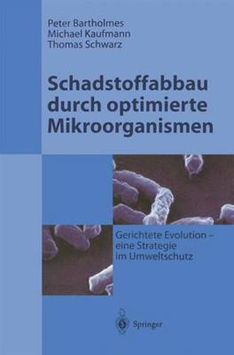 Schadstoffabbau Durch Optimierte Mikroorganismen