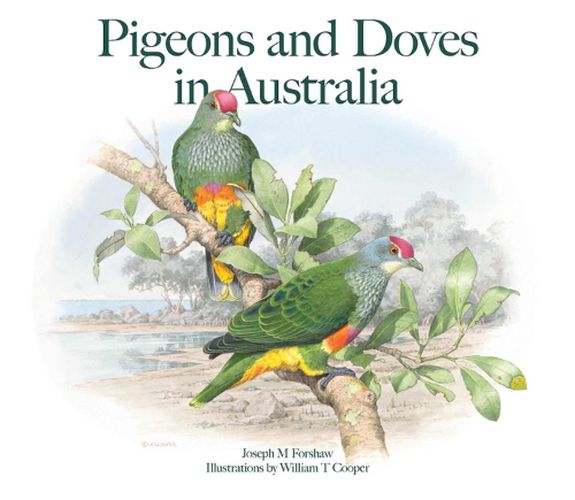 Cover image for Pigeons and Doves in Australia