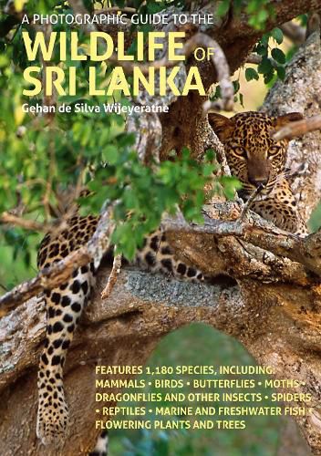 Cover image for A Photographic Guide to the Wildlife of Sri Lanka