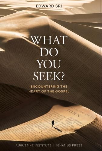 Cover image for What Do You Seek?