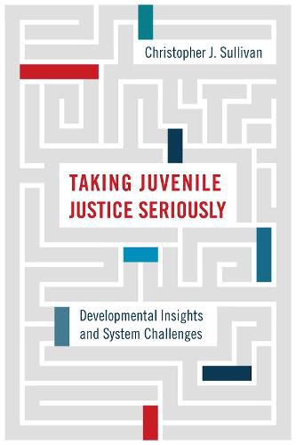 Cover image for Taking Juvenile Justice Seriously: Developmental Insights and System Challenges