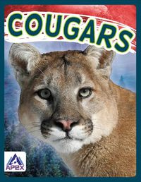 Cover image for Wild Cats: Cougars