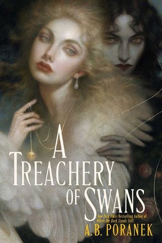 Cover image for A Treachery of Swans