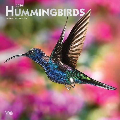 Hummingbirds 2020 Square Wall Calendar