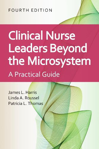 Cover image for Clinical Nurse Leaders Beyond the Microsystem: A Practical Guide